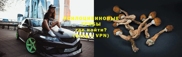 молекула духа Волоколамск